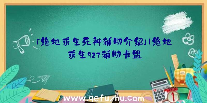 「绝地求生死神辅助介绍」|绝地求生927辅助卡盟